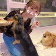 ヒメ日記 2025/11/08 19:28 投稿 かんな ノーパンエステ!?絶頂させる天使たち