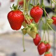 ヒメ日記 2025/09/13 16:47 投稿 琉愛(るな) 高知デリヘル倶楽部 人妻熟女専門店