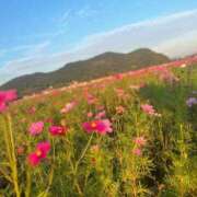 ヒメ日記 2025/11/08 17:01 投稿 琉愛(るな) 高知デリヘル倶楽部 人妻熟女専門店