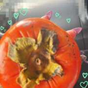 ヒメ日記 2025/11/12 11:08 投稿 琉愛(るな) 高知デリヘル倶楽部 人妻熟女専門店