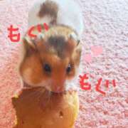 ヒメ日記 2025/12/06 19:54 投稿 琉愛(るな) 高知デリヘル倶楽部 人妻熟女専門店