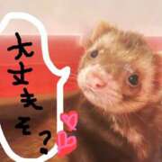 ヒメ日記 2025/12/06 21:01 投稿 琉愛(るな) 高知デリヘル倶楽部 人妻熟女専門店