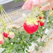 琉愛(るな) ◯ち◯狩り🔪 高知デリヘル倶楽部 人妻熟女専門店