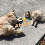 ヒメ日記 2026/03/16 23:25 投稿 琉愛(るな) 高知デリヘル倶楽部 人妻熟女専門店