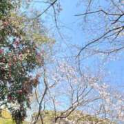 琉愛(るな) ありがとうございました🐹🎀 高知デリヘル倶楽部 人妻熟女専門店