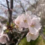 ヒメ日記 2026/04/09 07:38 投稿 琉愛(るな) 高知デリヘル倶楽部 人妻熟女専門店