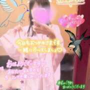 つばめ 初めまして🌸🐣 sakura