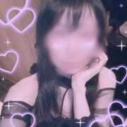 つばめ おはようございます🐤 sakura