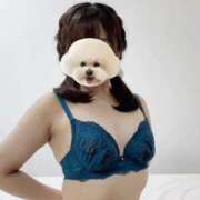 ヒメ日記 2025/09/14 12:52 投稿 あず 横浜ひよこ倶楽部