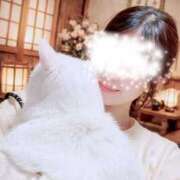 ヒメ日記 2026/02/18 19:49 投稿 ひめか 錦糸町人妻セレブリティ（ユメオト）