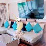 ヒメ日記 2026/03/30 22:51 投稿 ひめか 錦糸町人妻セレブリティ（ユメオト）