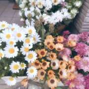 ヒメ日記 2026/04/02 16:40 投稿 ひめか 錦糸町人妻セレブリティ（ユメオト）