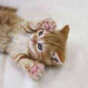 ヒメ日記 2026/02/16 19:39 投稿 こと（スレンダーパイパン女子） おクンニ天国～Rising Group～