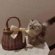 ヒメ日記 2026/02/24 21:02 投稿 こと（スレンダーパイパン女子） おクンニ天国～Rising Group～