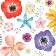 ヒメ日記 2026/03/14 20:34 投稿 こと（スレンダーパイパン女子） おクンニ天国～Rising Group～