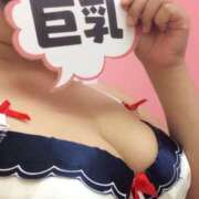 ヒメ日記 2025/10/20 06:43 投稿 りえ 諭吉専科