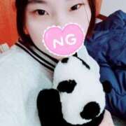 ヒメ日記 2026/03/23 10:00 投稿 キンモクセイ 飾窓