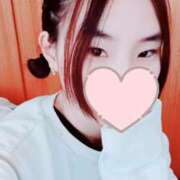 ヒメ日記 2026/03/24 12:00 投稿 キンモクセイ 飾窓