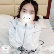 ヒメ日記 2026/03/25 00:57 投稿 キンモクセイ 飾窓