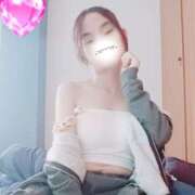 ヒメ日記 2026/03/26 00:47 投稿 キンモクセイ 飾窓