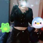 ヒメ日記 2026/03/26 10:00 投稿 キンモクセイ 飾窓