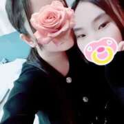 ヒメ日記 2026/03/26 18:00 投稿 キンモクセイ 飾窓