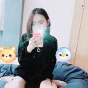 ヒメ日記 2026/03/28 10:00 投稿 キンモクセイ 飾窓