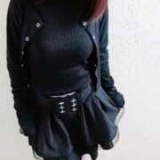 ヒメ日記 2026/03/29 23:30 投稿 キンモクセイ 飾窓