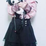 ヒメ日記 2026/03/30 10:12 投稿 キンモクセイ 飾窓