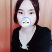 ヒメ日記 2026/04/01 10:00 投稿 キンモクセイ 飾窓