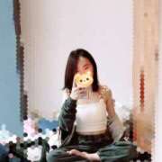 ヒメ日記 2026/04/04 10:00 投稿 キンモクセイ 飾窓