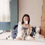 ヒメ日記 2026/04/06 10:00 投稿 キンモクセイ 飾窓