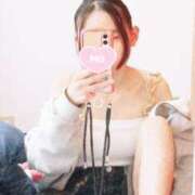 ヒメ日記 2026/04/14 10:00 投稿 キンモクセイ 飾窓