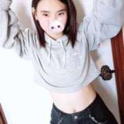 ヒメ日記 2026/04/18 20:00 投稿 キンモクセイ 飾窓