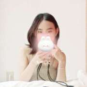 ヒメ日記 2026/04/27 23:30 投稿 キンモクセイ 飾窓