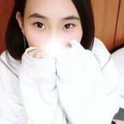ヒメ日記 2026/05/02 23:30 投稿 キンモクセイ 飾窓