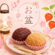ヒメ日記 2026/08/13 10:00 投稿 キンモクセイ 飾窓