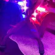 ヒメ日記 2025/09/13 21:46 投稿 石井 鶯谷人妻城