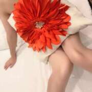 石井 本日お会いする方へ！ 鶯谷人妻城