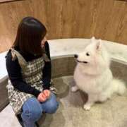 ヒメ日記 2026/01/31 22:32 投稿 水島れいな★ elumo(エルモ)