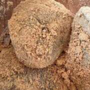 ヒメ日記 2025/12/01 13:27 投稿 とうこ モアグループ 土浦人妻花壇