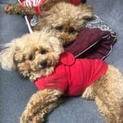 ヒメ日記 2025/09/21 19:55 投稿 ひなみ ぷよステーション大宮店