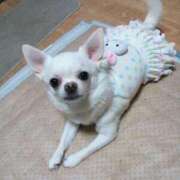 ヒメ日記 2026/02/02 10:13 投稿 ひなみ ぷよステーション大宮店