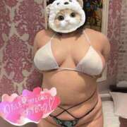 ヒメ日記 2025/11/25 12:29 投稿 すず 白いぽっちゃりさん五反田店