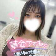 ヒメ日記 2025/12/05 06:49 投稿 すず 白いぽっちゃりさん五反田店