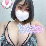 ヒメ日記 2025/12/08 21:29 投稿 すず 白いぽっちゃりさん五反田店