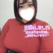 ヒメ日記 2025/12/12 17:19 投稿 すず 白いぽっちゃりさん五反田店