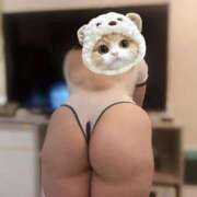 ヒメ日記 2025/12/13 22:49 投稿 すず 白いぽっちゃりさん五反田店