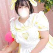 ヒメ日記 2026/01/28 01:29 投稿 すず 白いぽっちゃりさん五反田店