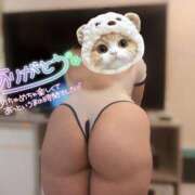 ヒメ日記 2026/02/23 23:29 投稿 すず 白いぽっちゃりさん五反田店